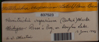 Image Associated With the Occurence